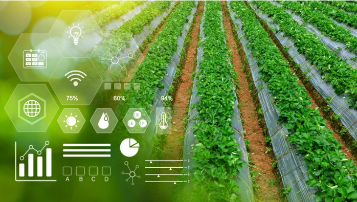 Xu hướng công nghệ 4.0 trong nông nghiệp những năm tới