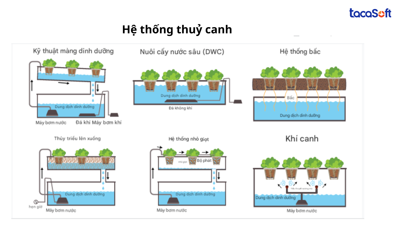 cong-nghe-san-xuat-thuc-an-chan-nuoi