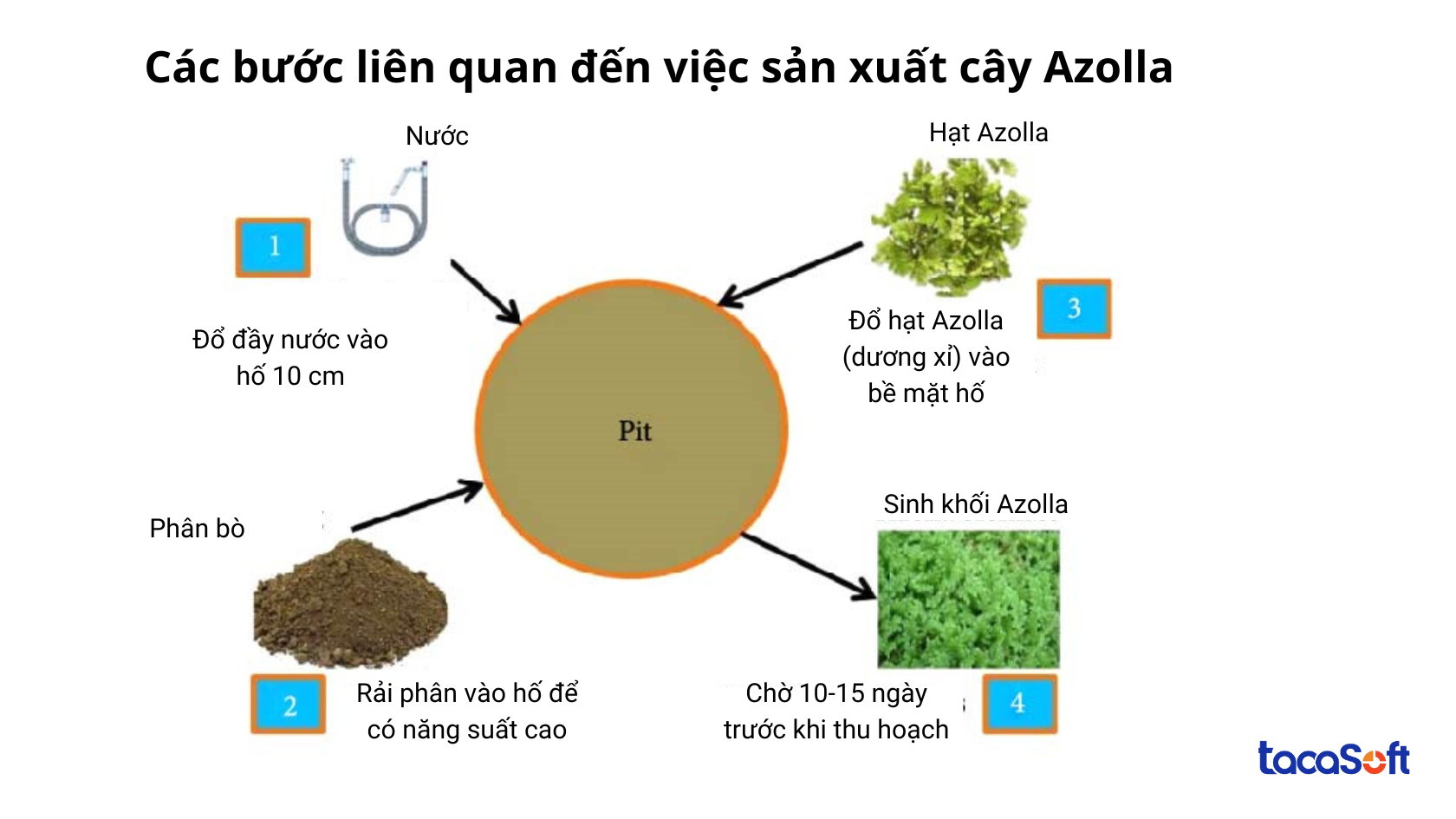 cong-nghe-san-xuat-thuc-an-chan-nuoi
