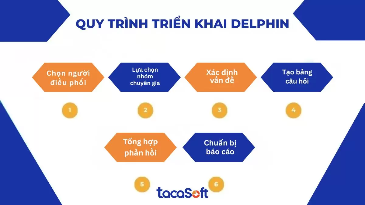 Quy trình triển khai phương pháp Delphin