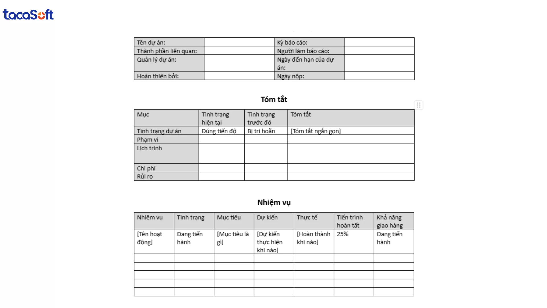 báo cáo tiến độ dự án