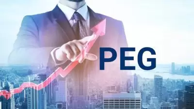 Nhìn chỉ số PEG nắm bắt mỗi đồng bỏ ra đang mua về bao nhiêu tăng trưởng