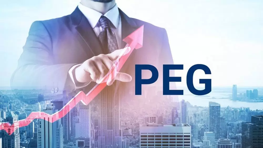Nhìn chỉ số PEG nắm bắt mỗi đồng bỏ ra đang mua về bao nhiêu tăng trưởng